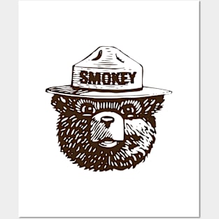 Smokey the Bear kayak science Posters and Art